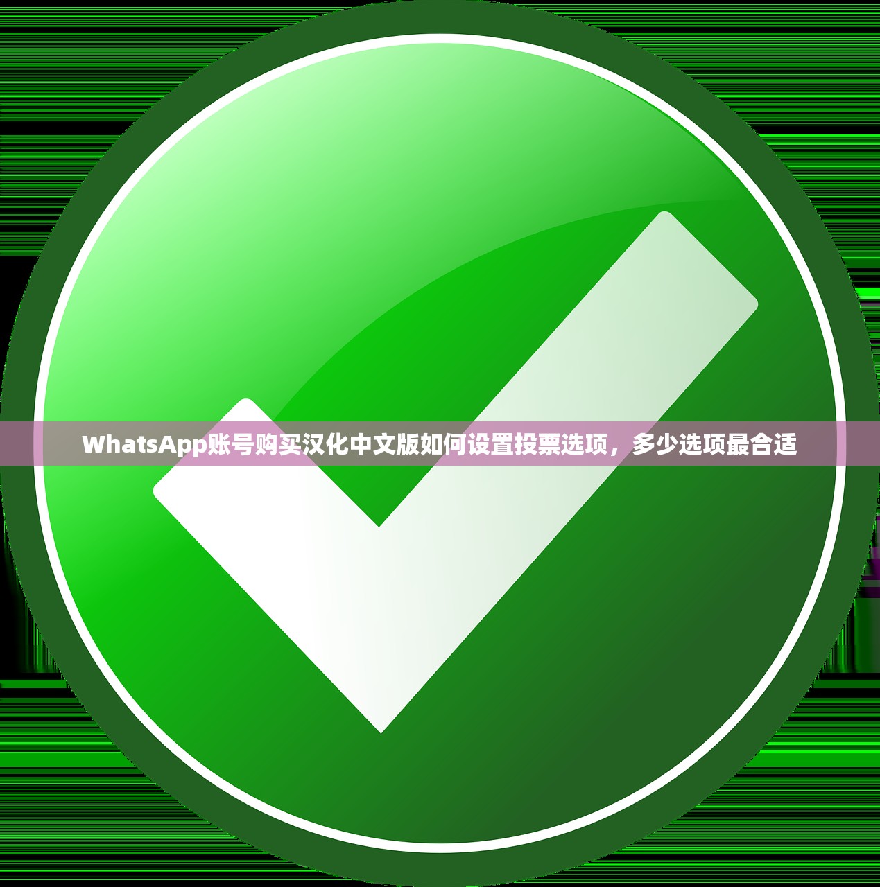 WhatsApp账号购买汉化中文版如何设置投票选项,多少选项最合适