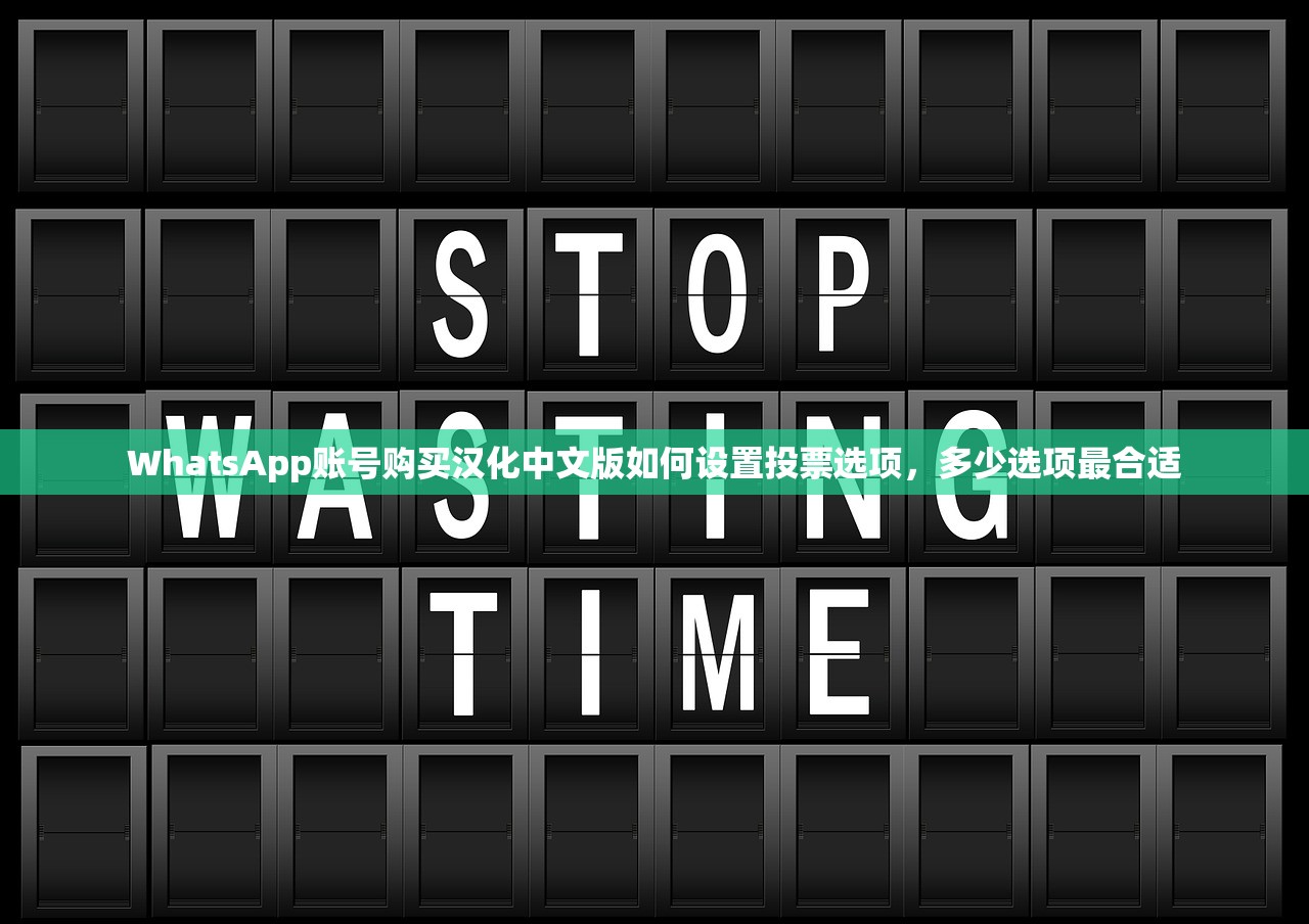 WhatsApp账号购买汉化中文版如何设置投票选项,多少选项最合适