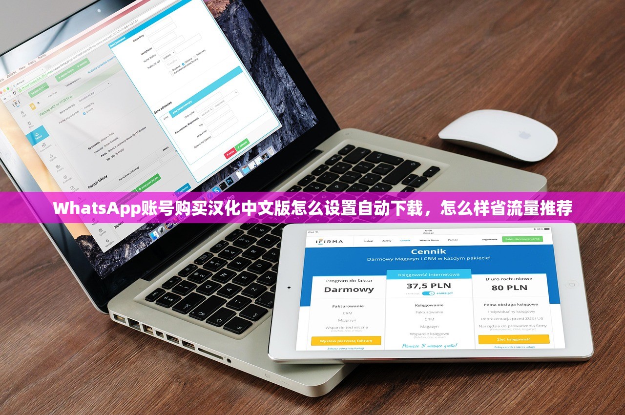 WhatsApp账号购买汉化中文版怎么设置自动下载,怎么样省流量推荐