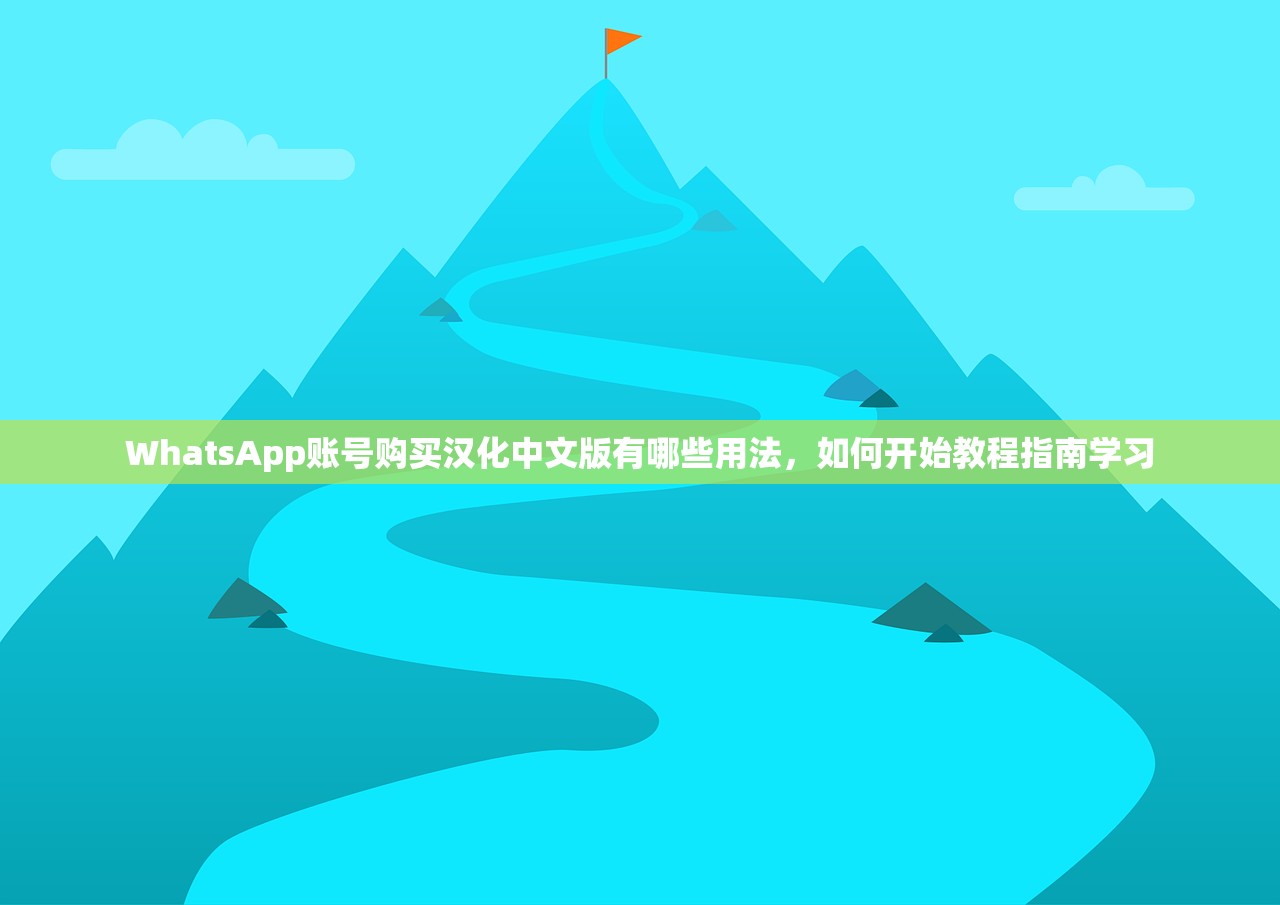 WhatsApp账号购买汉化中文版有哪些用法，如何开始教程指南学习