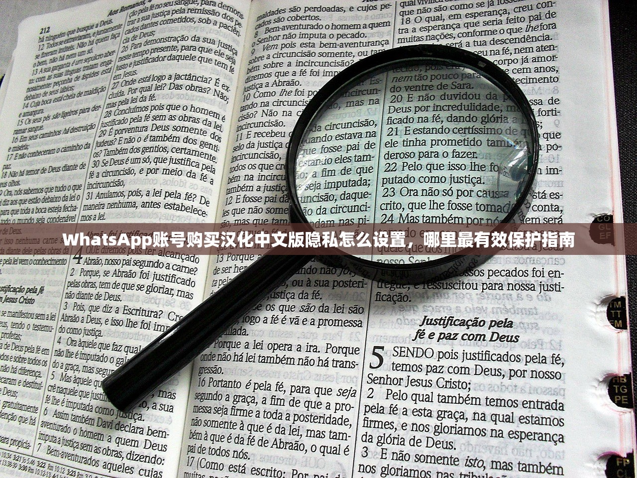 WhatsApp账号购买汉化中文版隐私怎么设置,哪里最有效保护指南