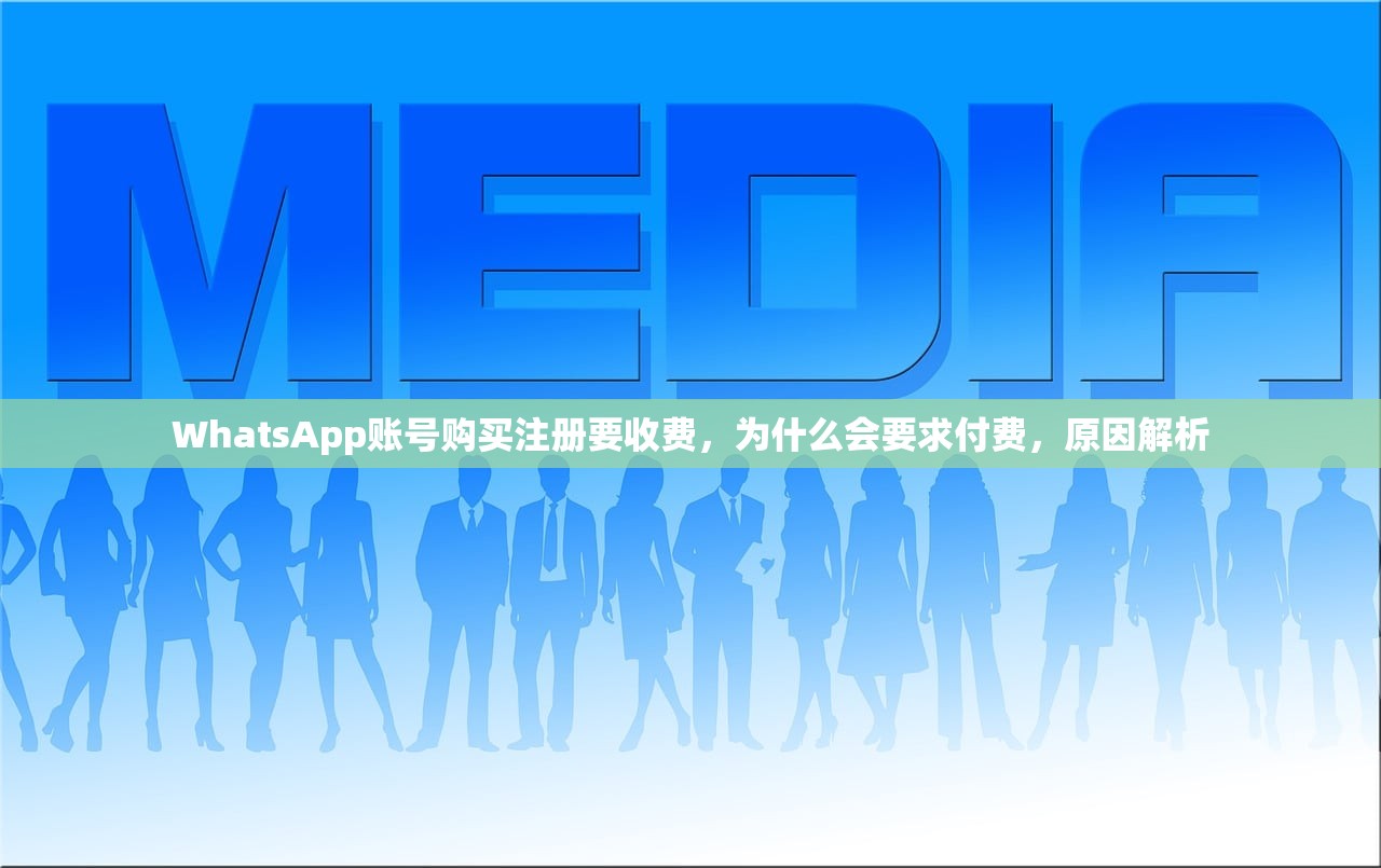 WhatsApp账号购买注册要收费,为什么会要求付费,原因解析