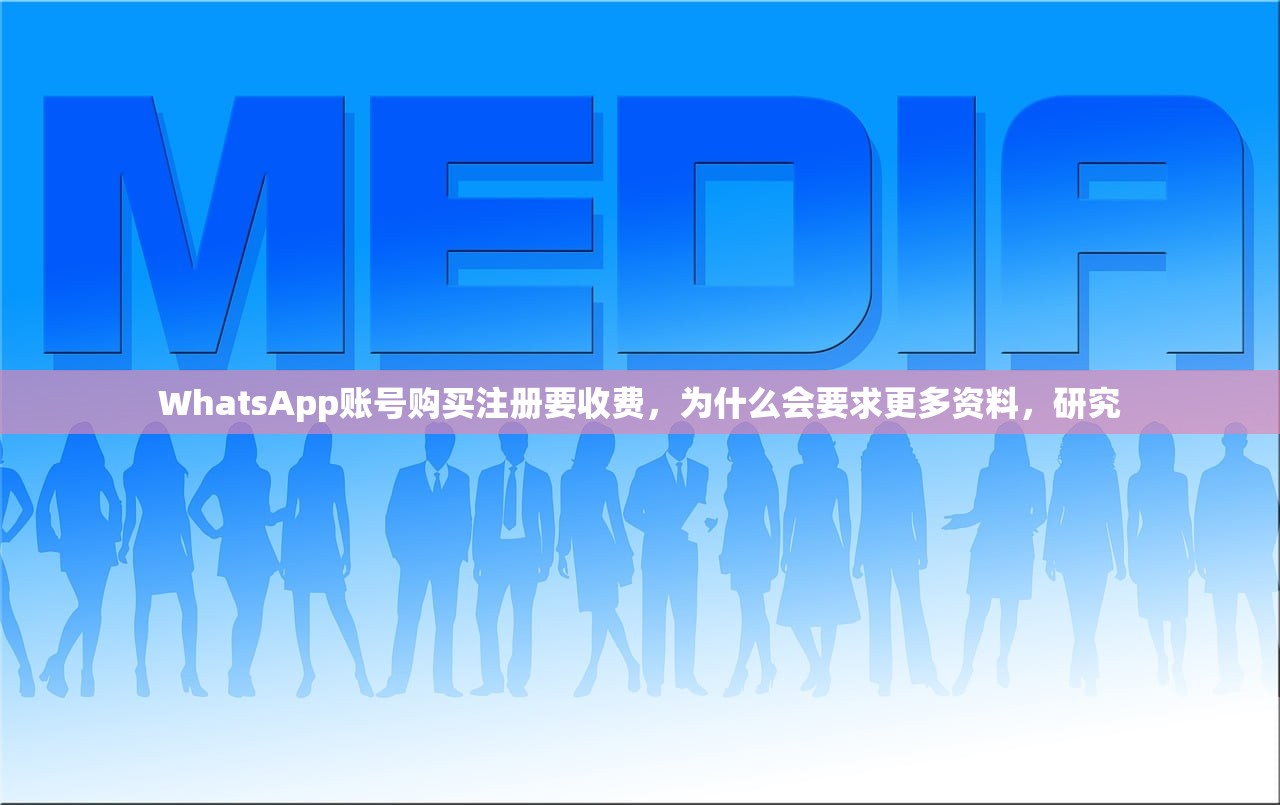 WhatsApp账号购买注册要收费，为什么会要求更多资料，研究