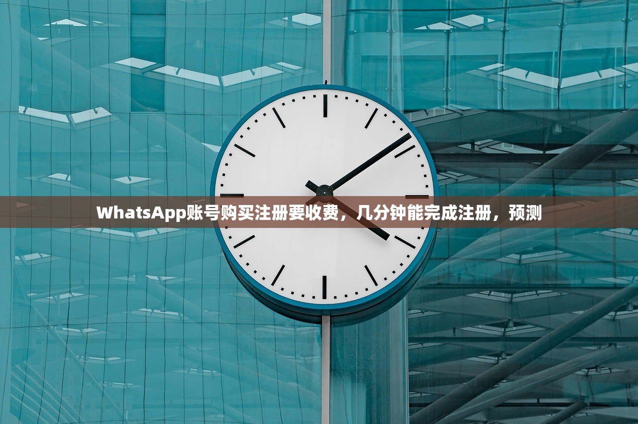 WhatsApp账号购买注册要收费,几分钟能完成注册,预测
