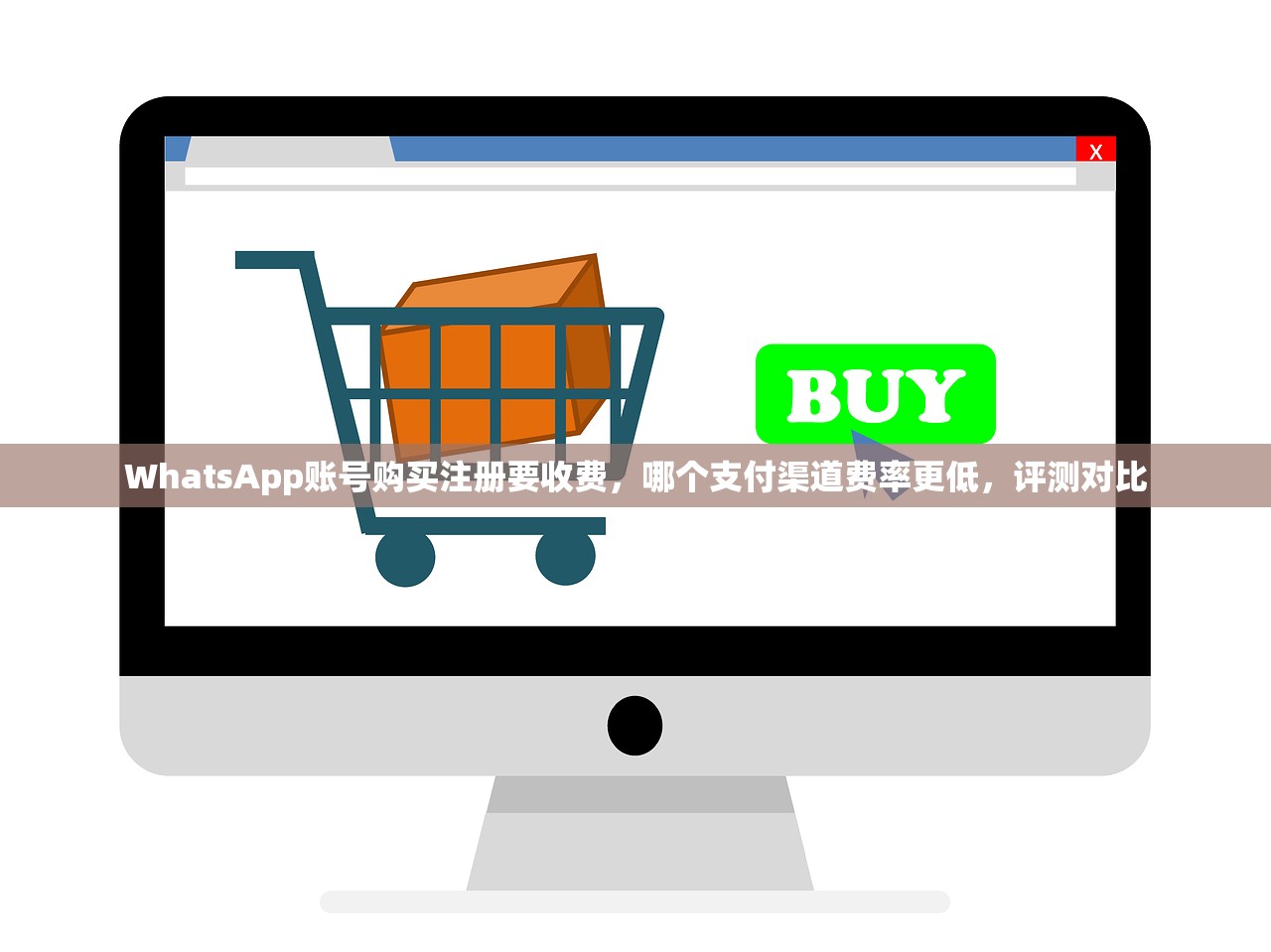 WhatsApp账号购买注册要收费，哪个支付渠道费率更低，评测对比