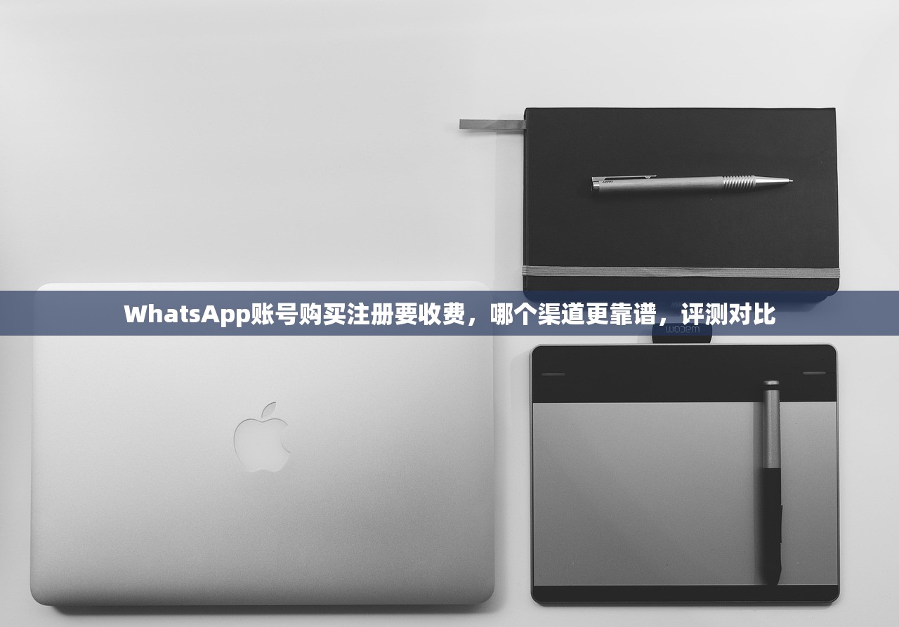 WhatsApp账号购买注册要收费，哪个渠道更靠谱，评测对比