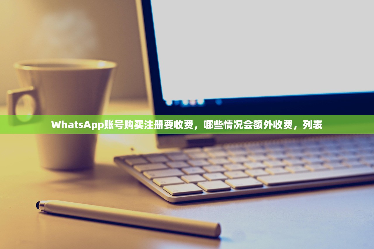 WhatsApp账号购买注册要收费，哪些情况会额外收费，列表