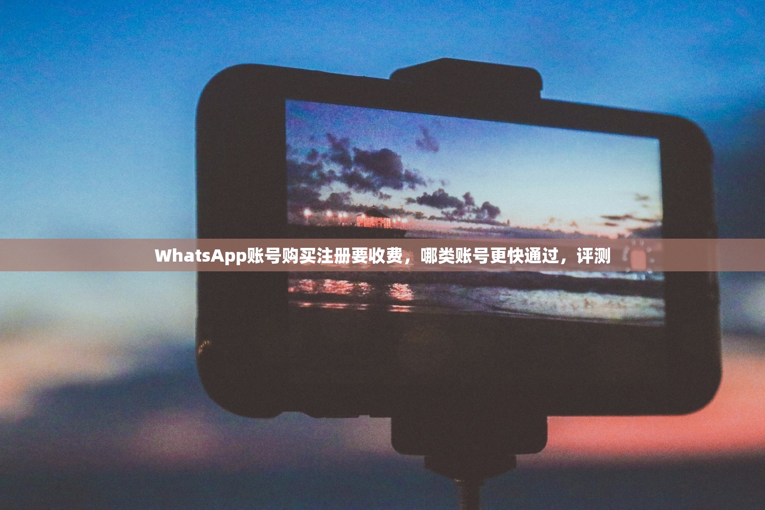 WhatsApp账号购买注册要收费，哪类账号更快通过，评测