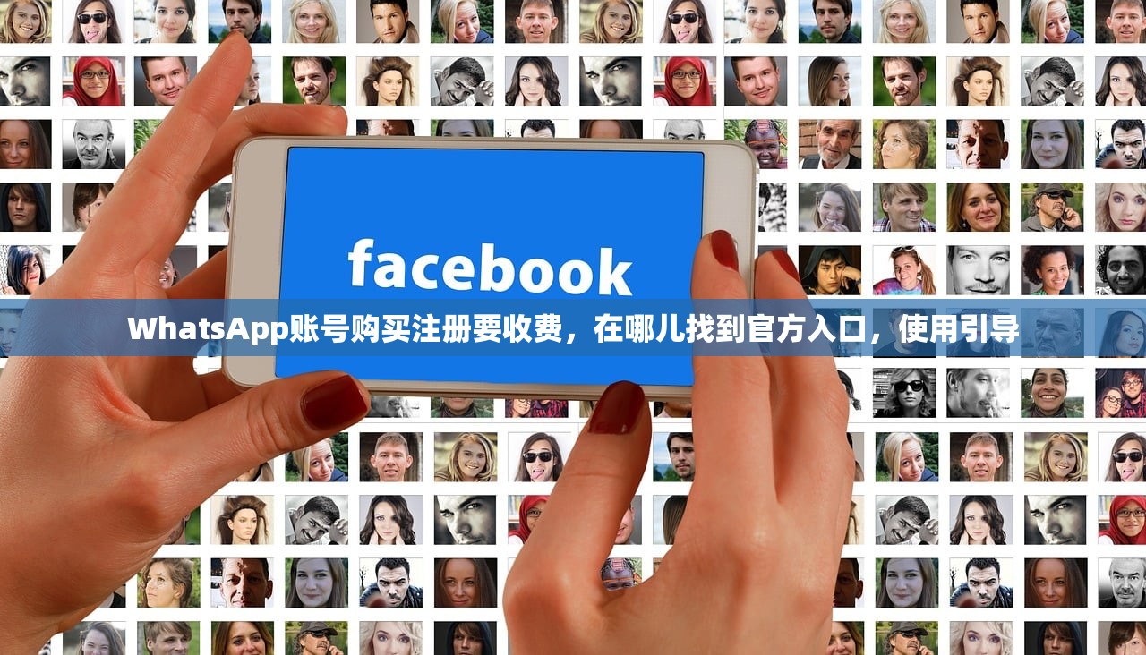 WhatsApp账号购买注册要收费，在哪儿找到官方入口，使用引导