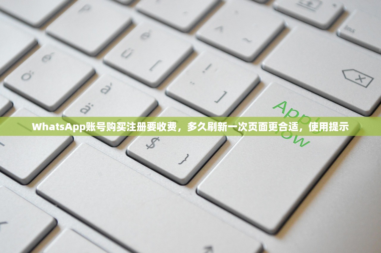 WhatsApp账号购买注册要收费,多久刷新一次页面更合适,使用提示