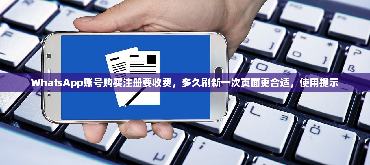 WhatsApp账号购买注册要收费,多久刷新一次页面更合适,使用提示