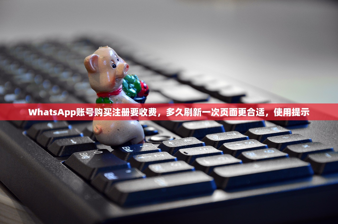 WhatsApp账号购买注册要收费,多久刷新一次页面更合适,使用提示