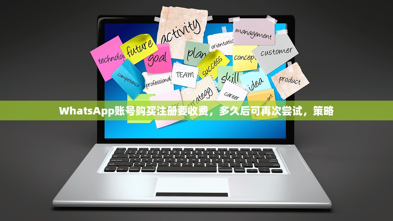 WhatsApp账号购买注册要收费，多久后可再次尝试，策略