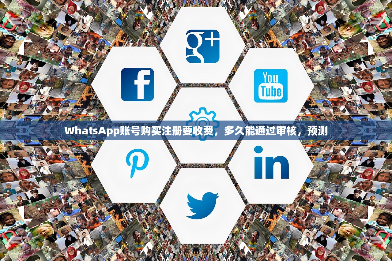 WhatsApp账号购买注册要收费，多久能通过审核，预测