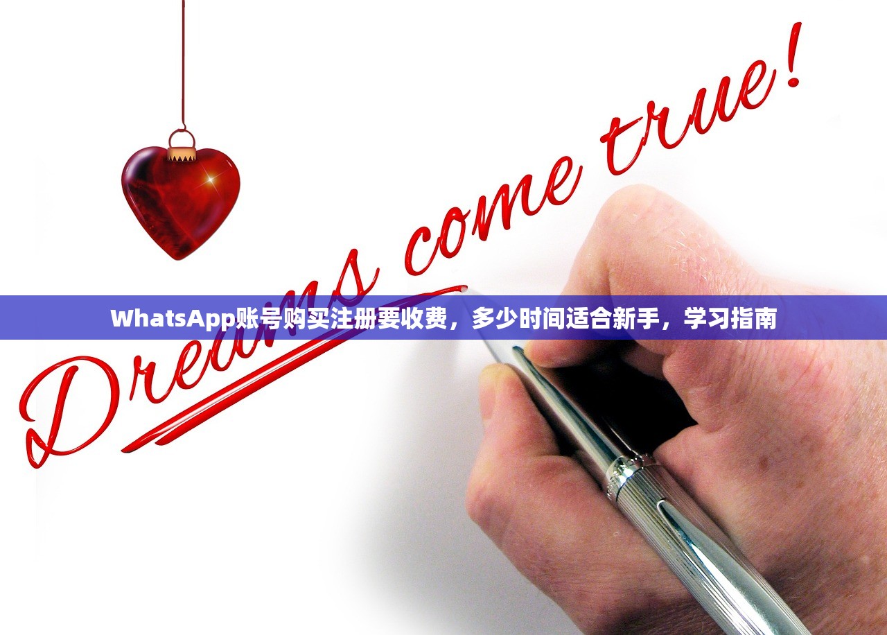 Shadowrocket小火箭要收费了吗?, 使用收费版的优势及注意事项