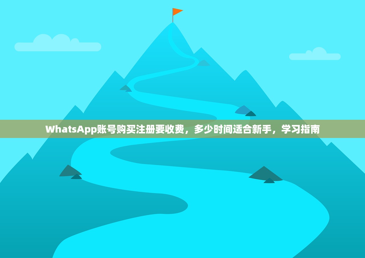 WhatsApp账号购买注册要收费，多少时间适合新手，学习指南