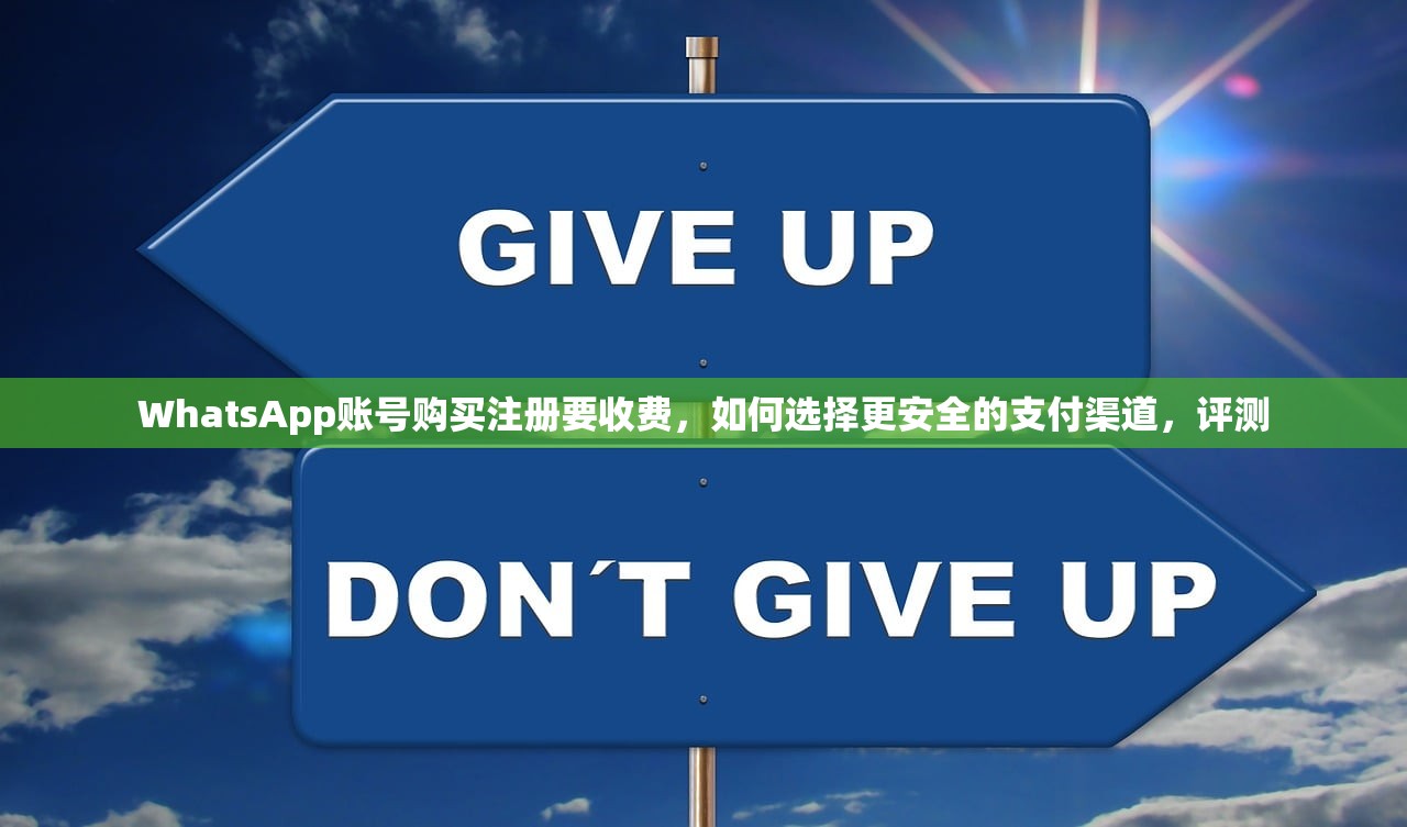 WhatsApp账号购买注册要收费,如何选择更安全的支付渠道,评测