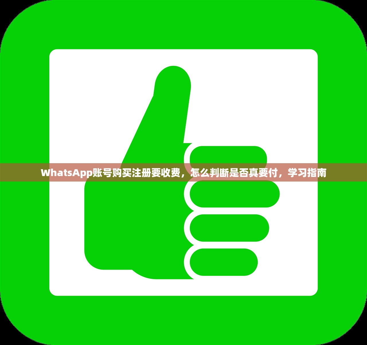 WhatsApp账号购买注册要收费,怎么判断是否真要付,学习指南
