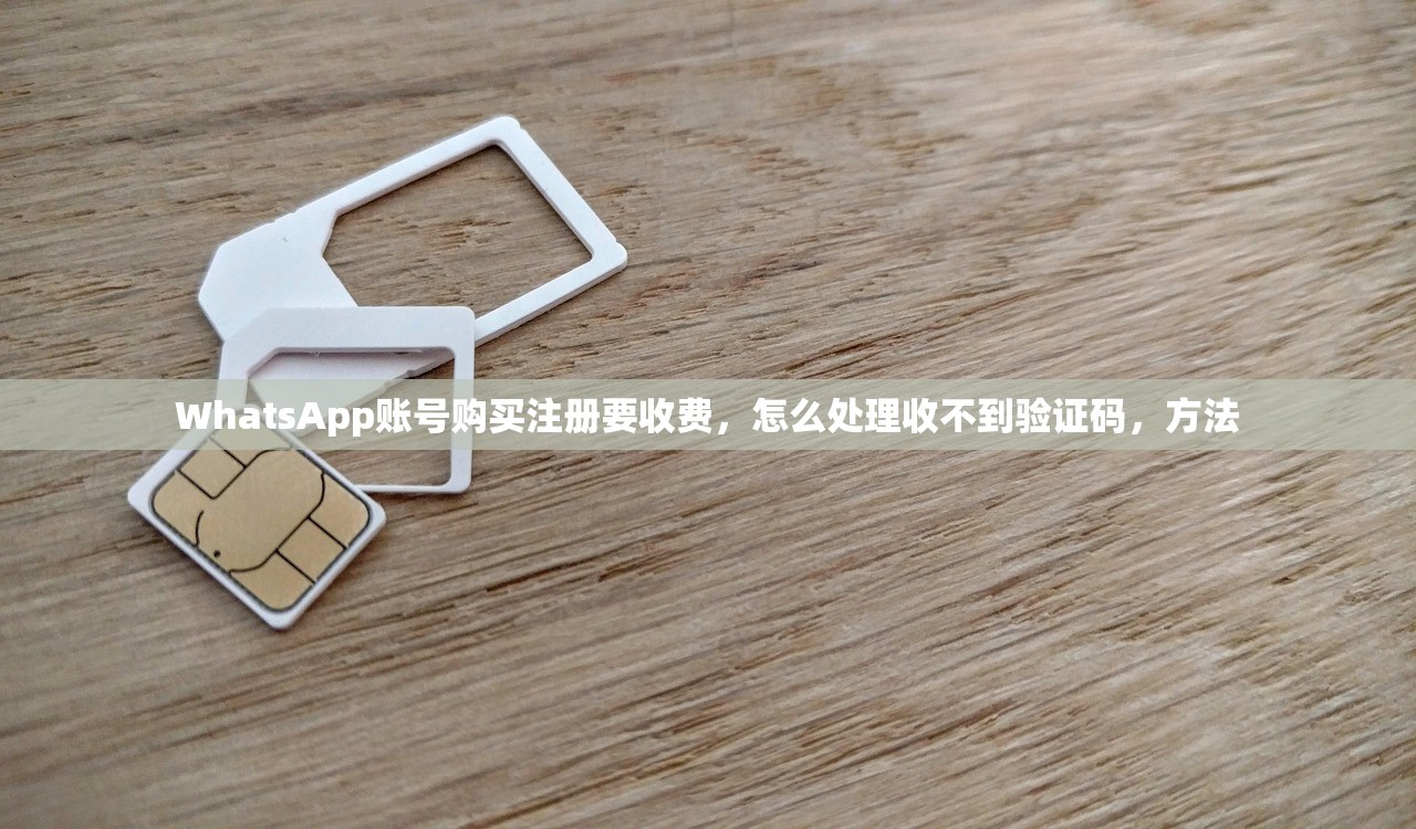 WhatsApp账号购买注册要收费,怎么处理收不到验证码,方法