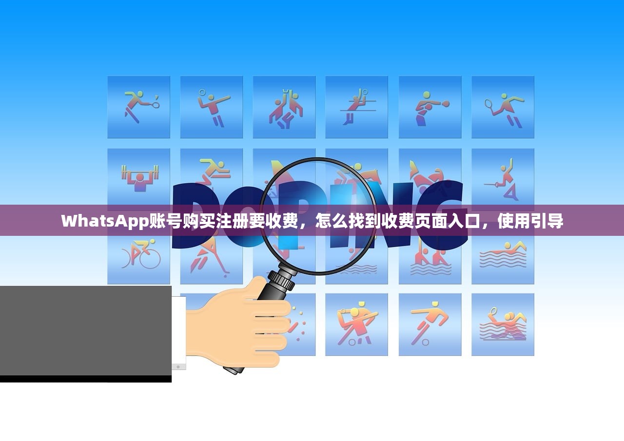 WhatsApp账号购买注册要收费,怎么找到收费页面入口,使用引导