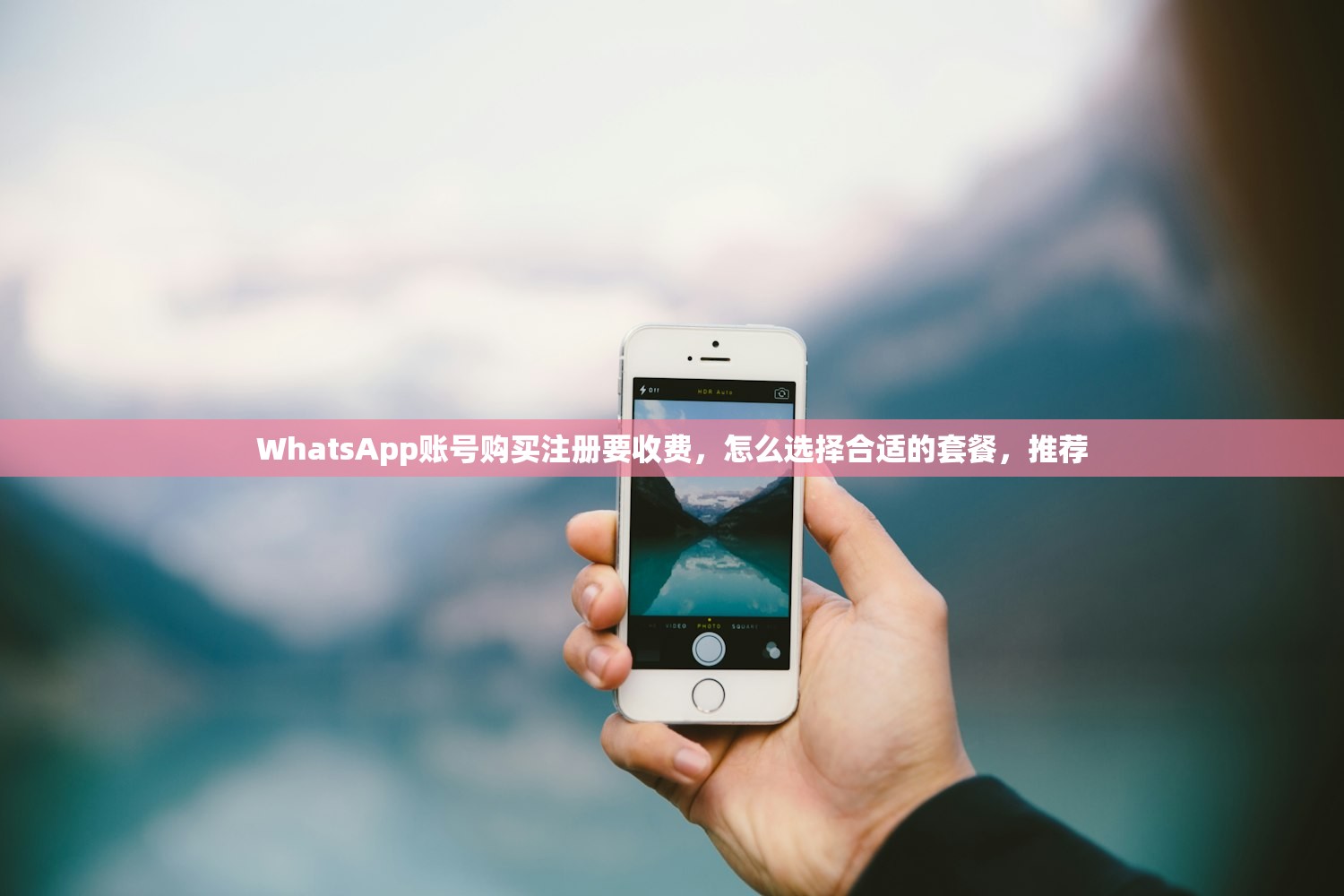 WhatsApp账号购买注册要收费,怎么选择合适的套餐,推荐