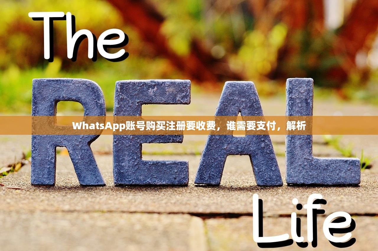 WhatsApp账号购买注册要收费,谁需要支付,解析