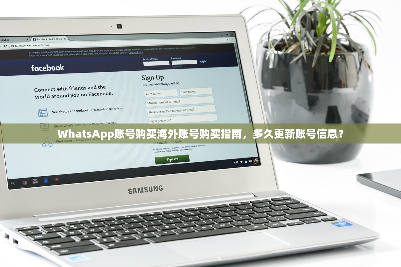 WhatsApp账号购买海外账号购买指南，多久更新账号信息？
