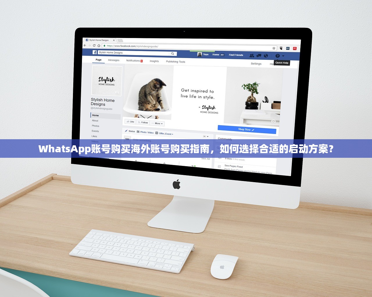 WhatsApp账号购买海外账号购买指南，如何选择合适的启动方案？