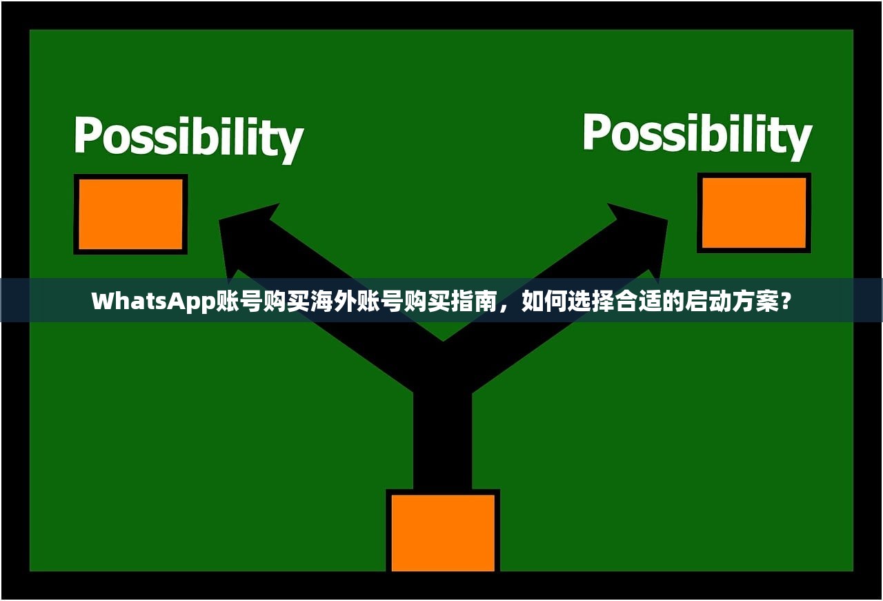 WhatsApp账号购买海外账号购买指南,如何选择合适的启动方案?