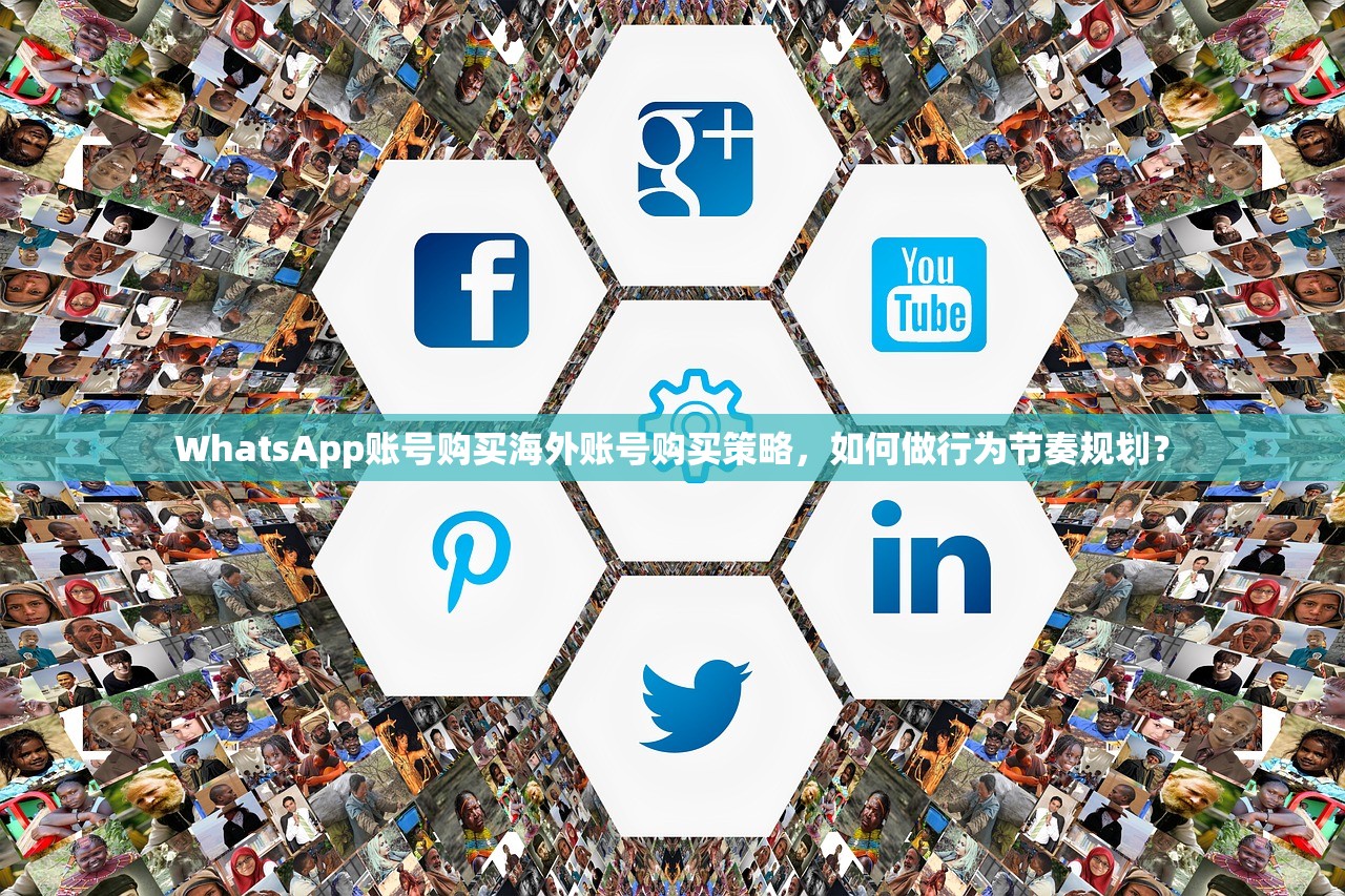 WhatsApp账号购买海外账号购买策略，如何做行为节奏规划？
