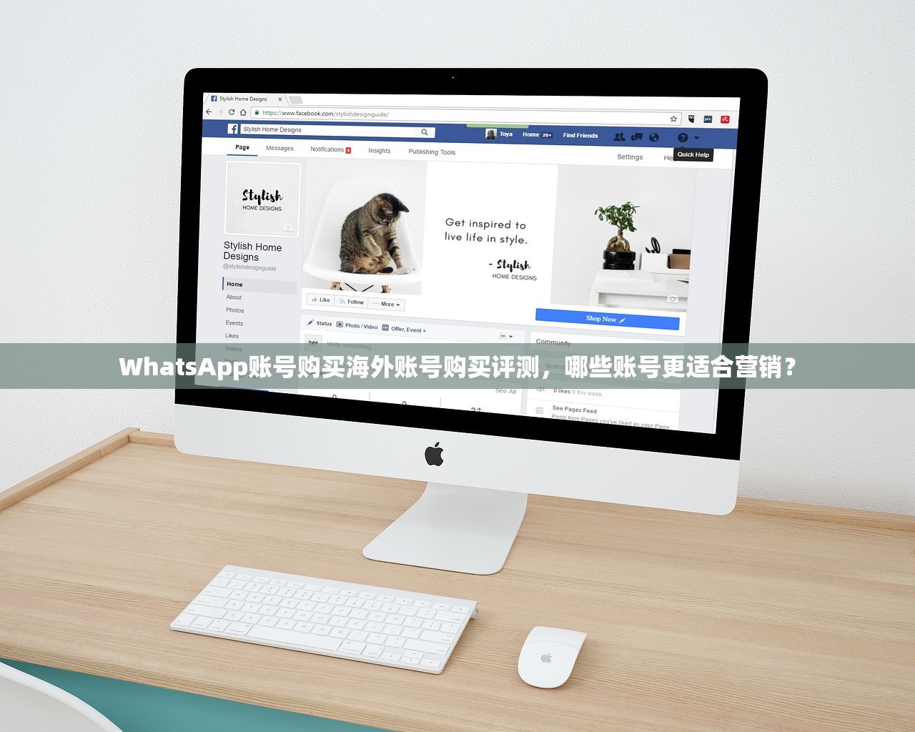 WhatsApp账号购买海外账号购买评测,哪些账号更适合营销?