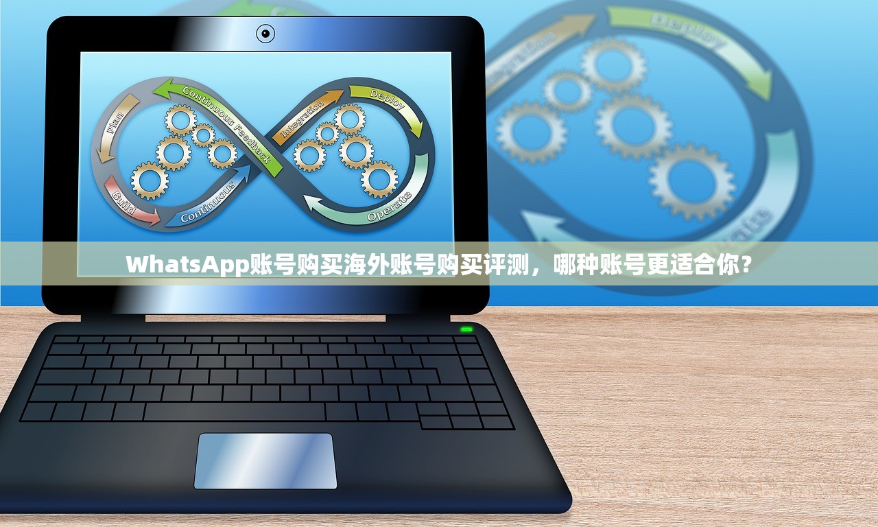 WhatsApp账号购买海外账号购买评测,哪种账号更适合你?