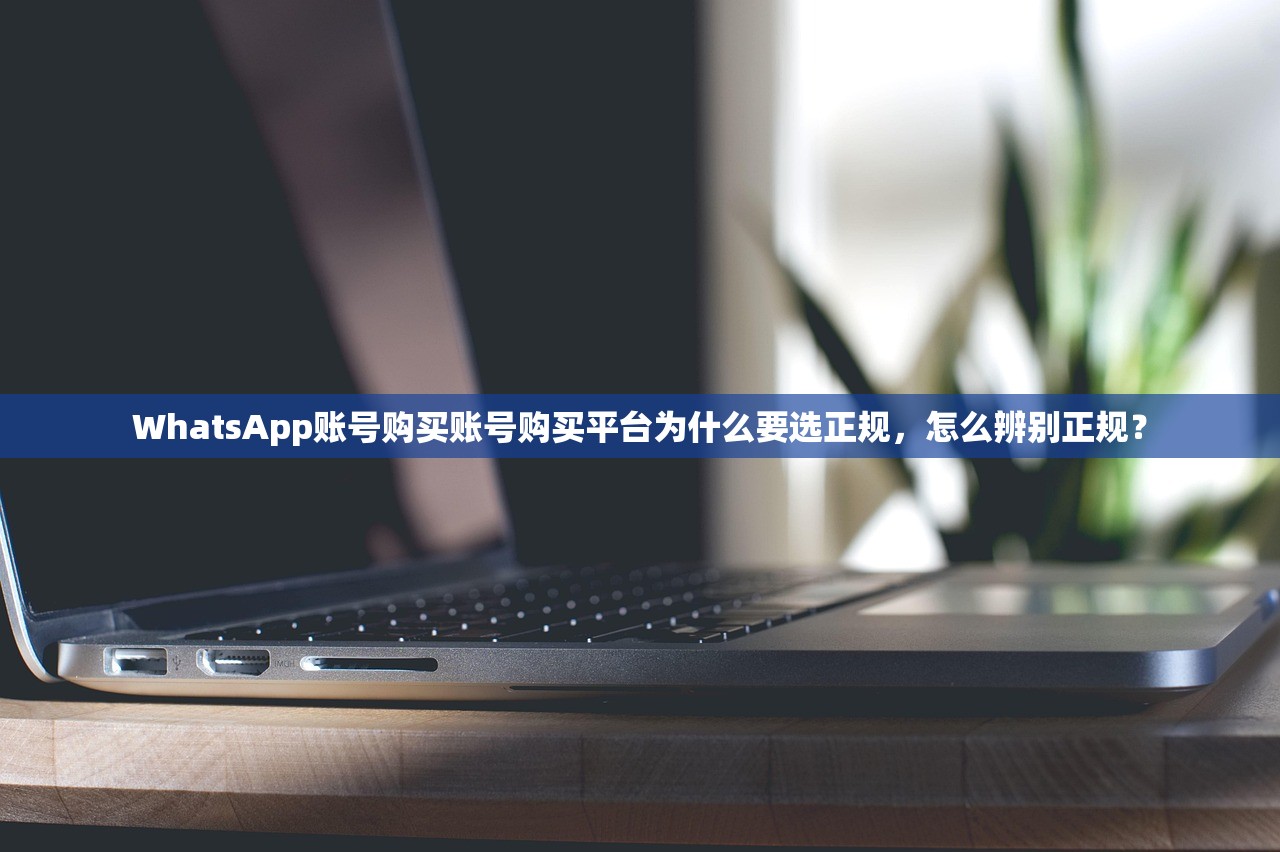 WhatsApp账号购买账号购买平台为什么要选正规，怎么辨别正规？