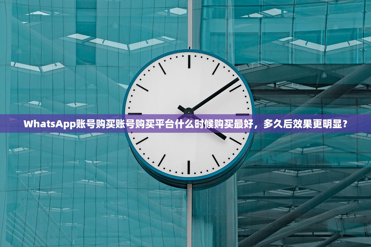 WhatsApp账号购买账号购买平台什么时候购买最好,多久后效果更明显?
