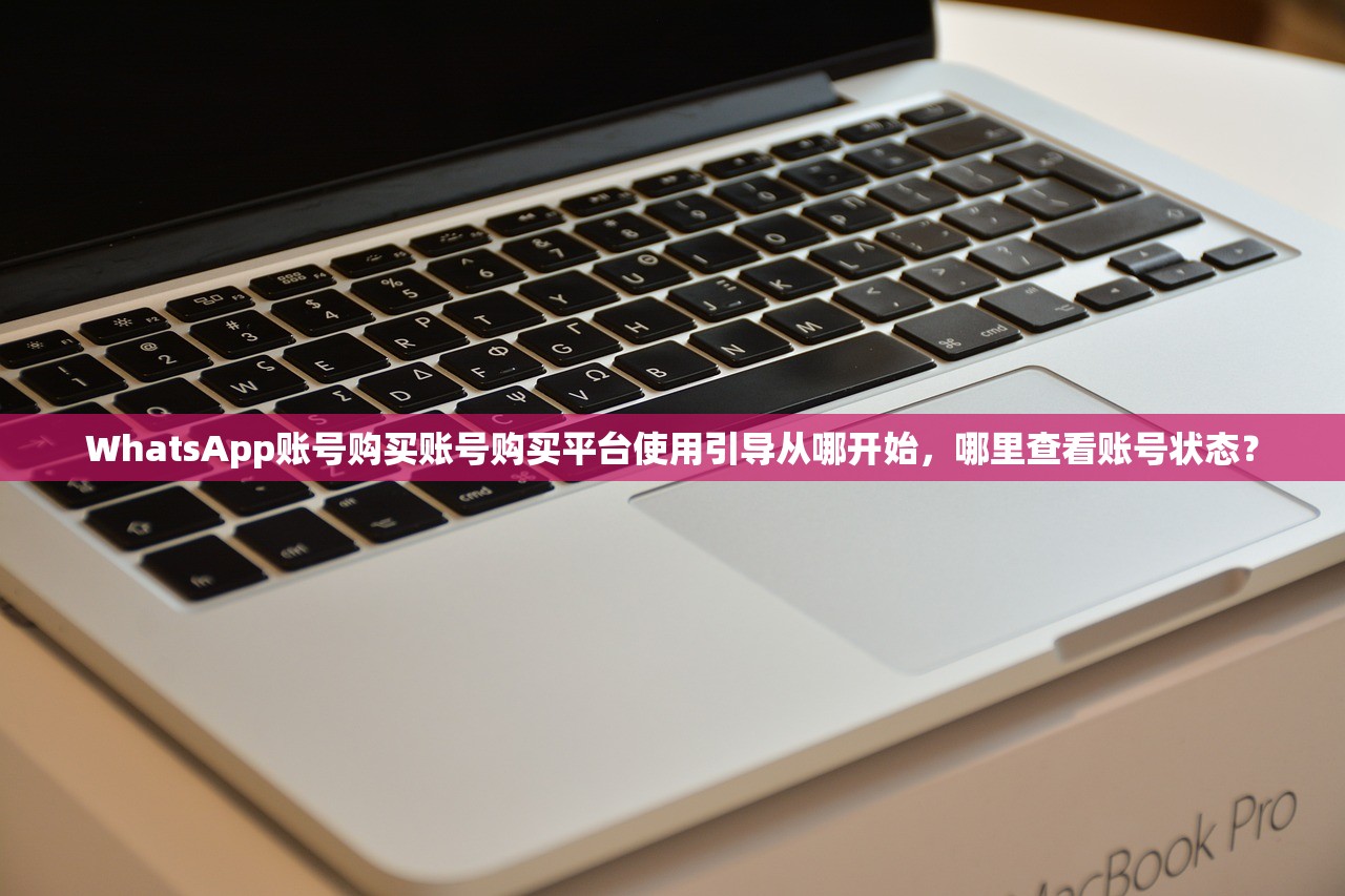 WhatsApp账号购买账号购买平台使用引导从哪开始,哪里查看账号状态?