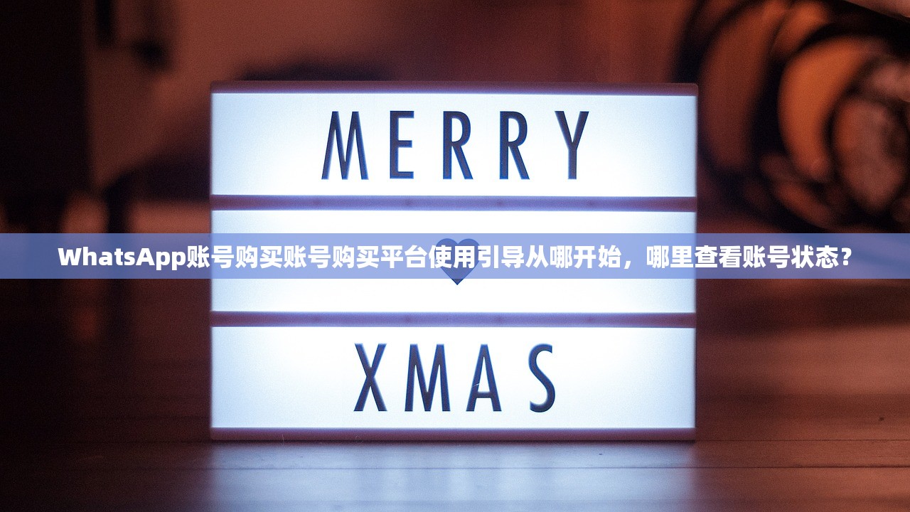 WhatsApp账号购买账号购买平台使用引导从哪开始,哪里查看账号状态?