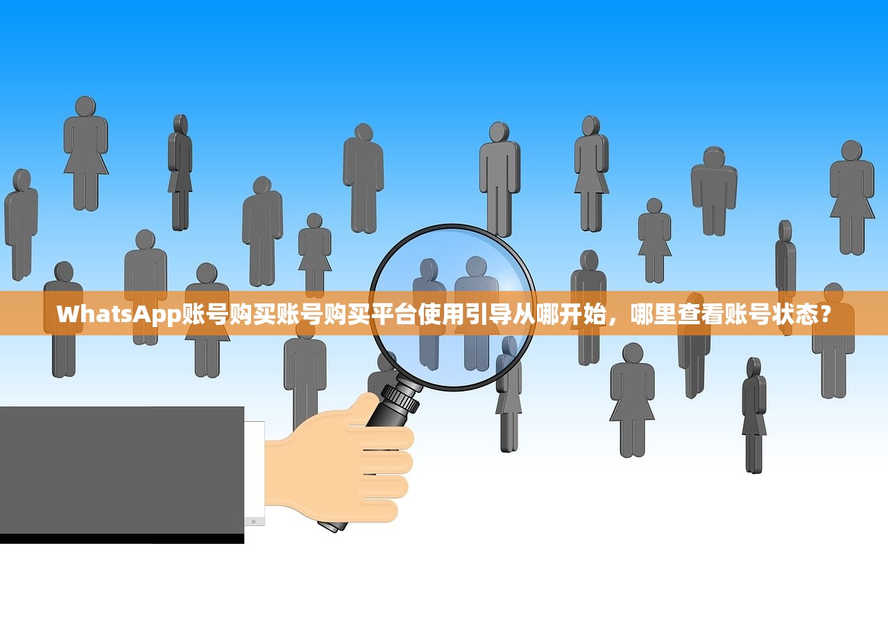 WhatsApp账号购买账号购买平台使用引导从哪开始,哪里查看账号状态?