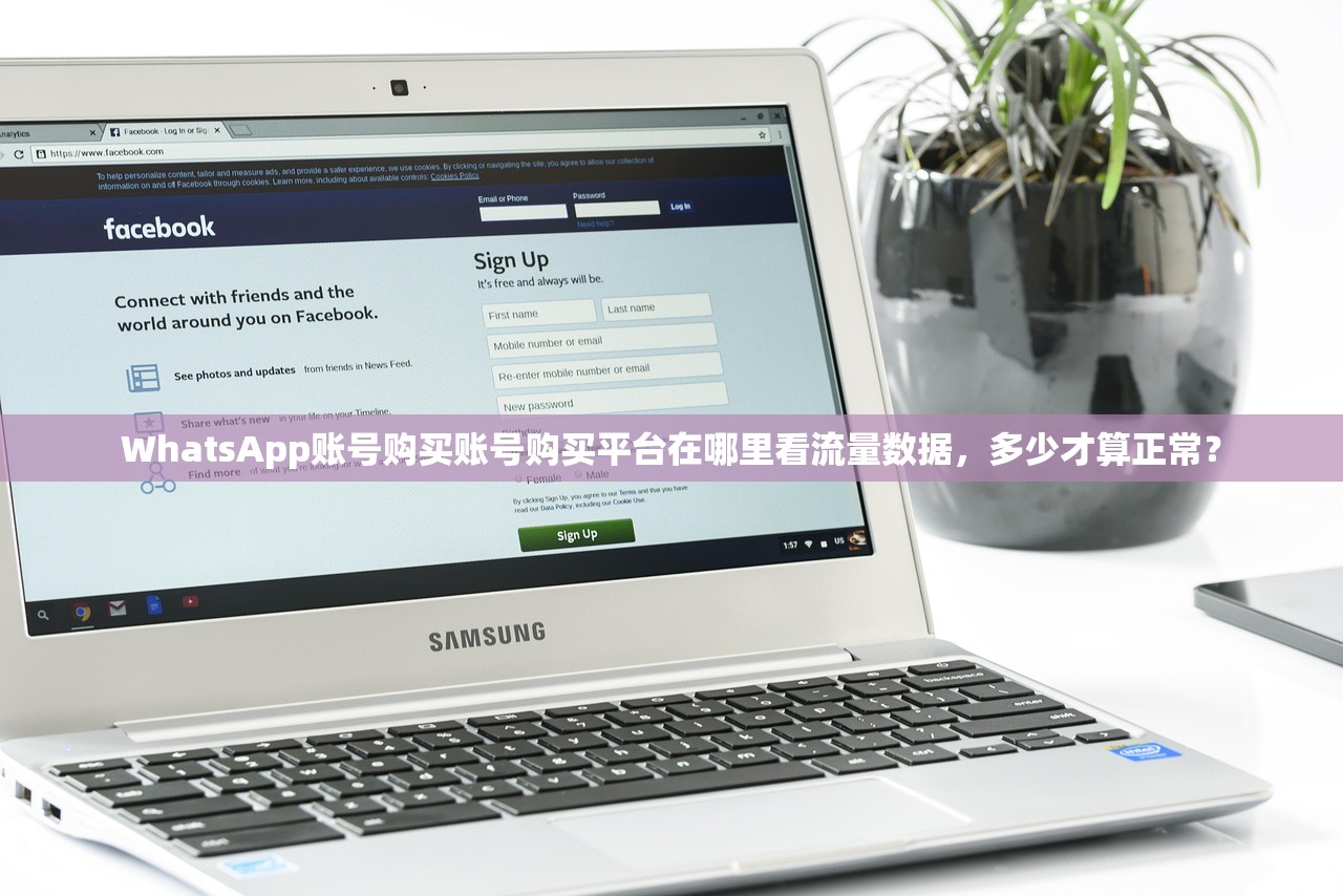 WhatsApp账号购买账号购买平台在哪里看流量数据，多少才算正常？