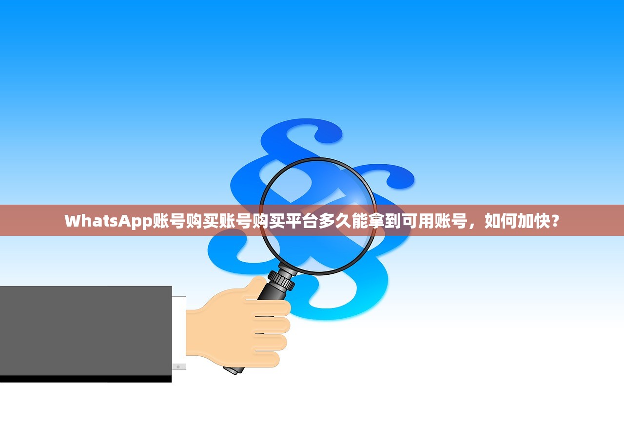 WhatsApp账号购买账号购买平台多久能拿到可用账号,如何加快?