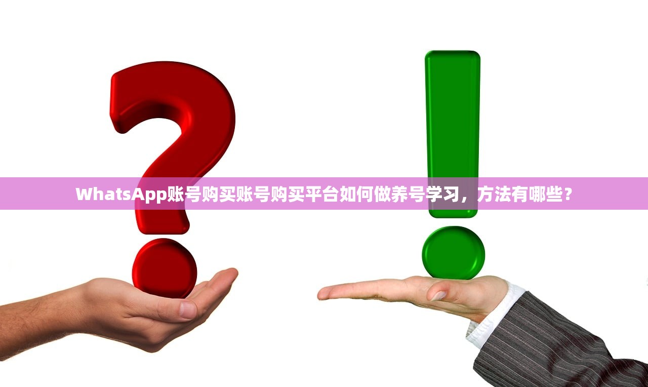 WhatsApp账号购买账号购买平台如何做养号学习，方法有哪些？