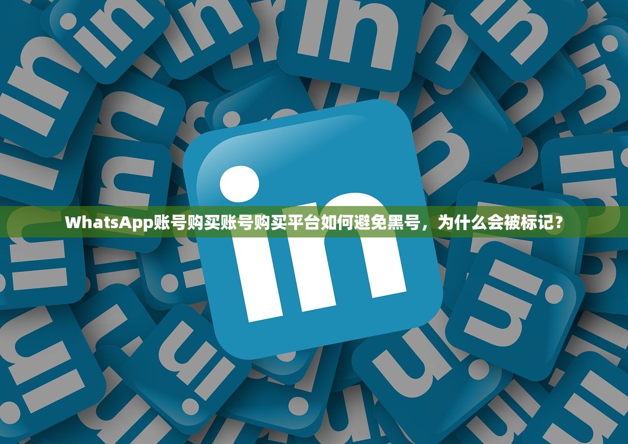 WhatsApp账号购买账号购买平台如何避免黑号,为什么会被标记?