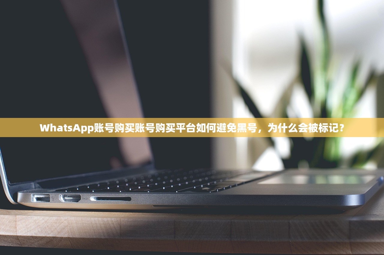 WhatsApp账号购买账号购买平台如何避免黑号,为什么会被标记?