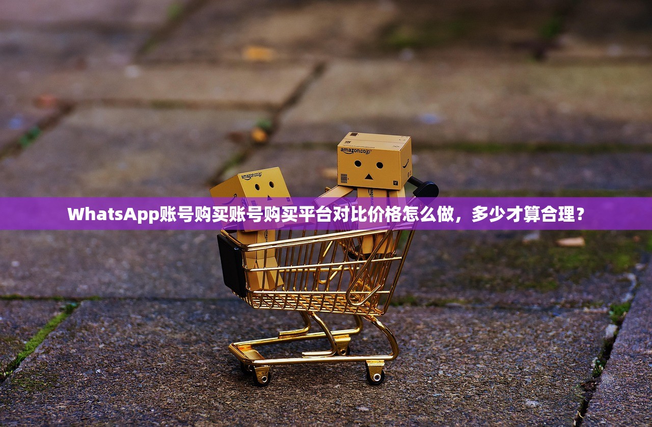 WhatsApp账号购买账号购买平台对比价格怎么做,多少才算合理?