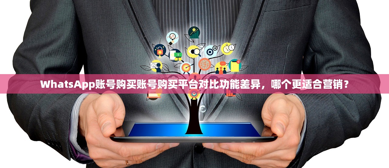 WhatsApp账号购买账号购买平台对比功能差异，哪个更适合营销？