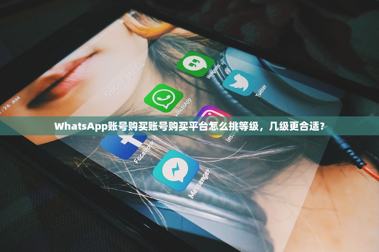 WhatsApp账号购买账号购买平台怎么挑等级，几级更合适？