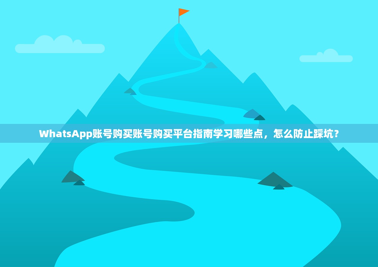WhatsApp账号购买账号购买平台指南学习哪些点,怎么防止踩坑?
