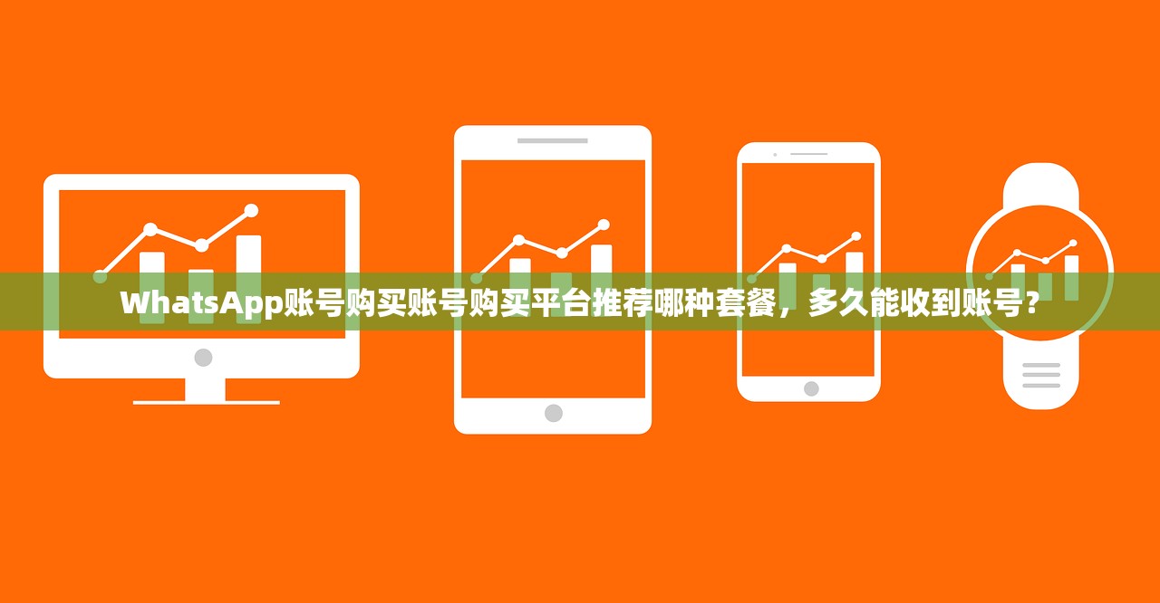 WhatsApp账号购买账号购买平台推荐哪种套餐，多久能收到账号？