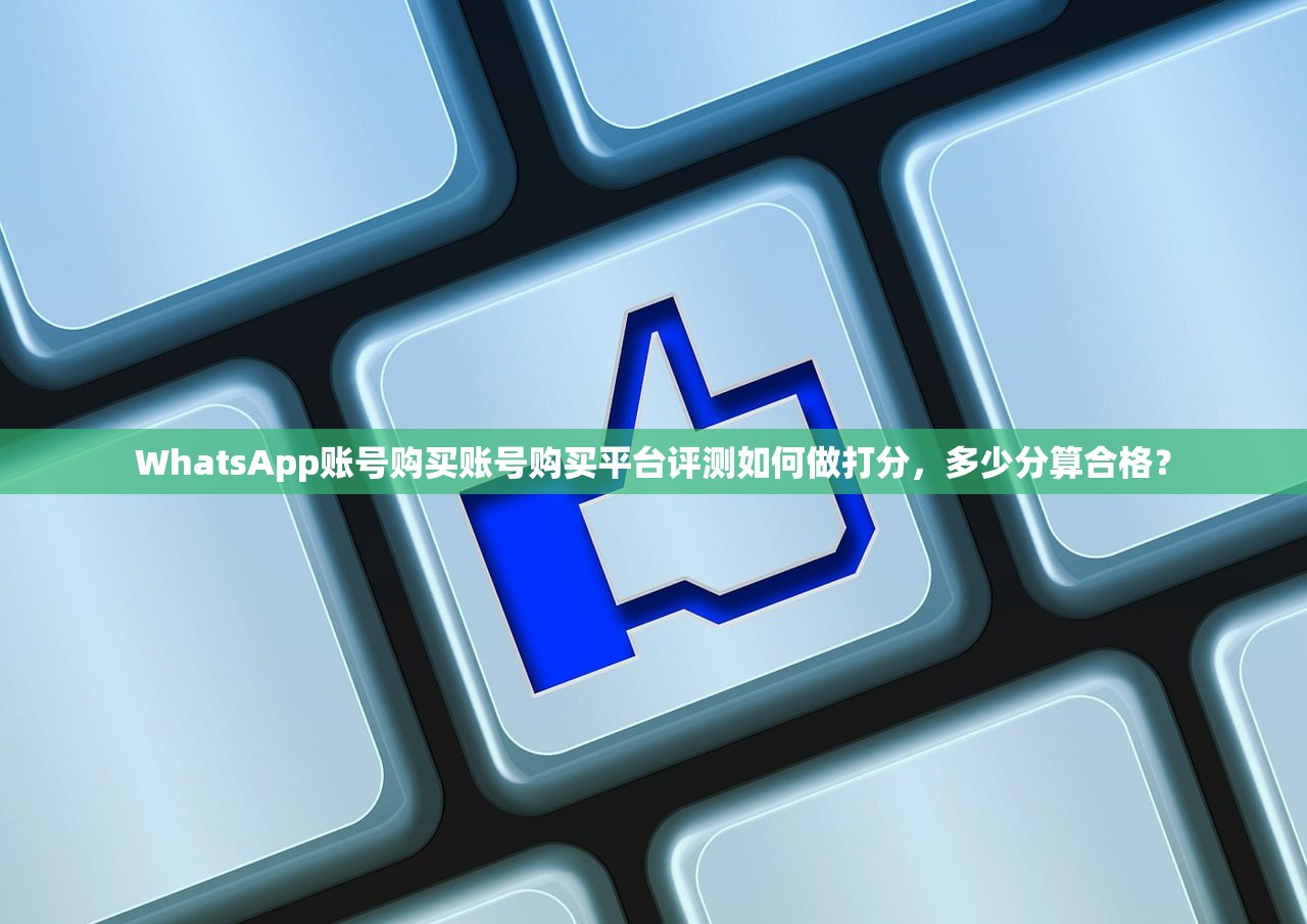 WhatsApp账号购买账号购买平台评测如何做打分,多少分算合格?