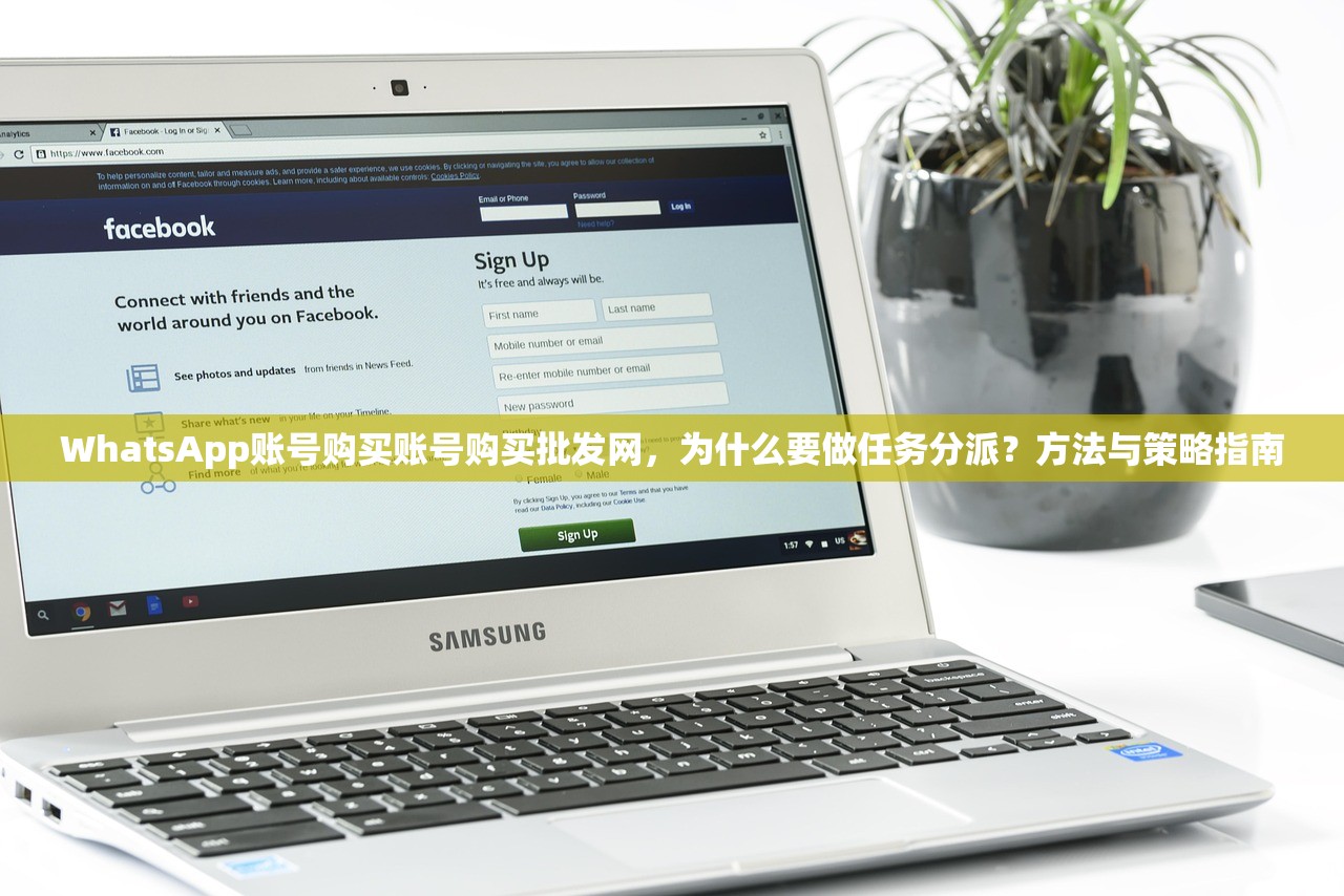 WhatsApp账号购买账号购买批发网，为什么要做任务分派？方法与策略指南