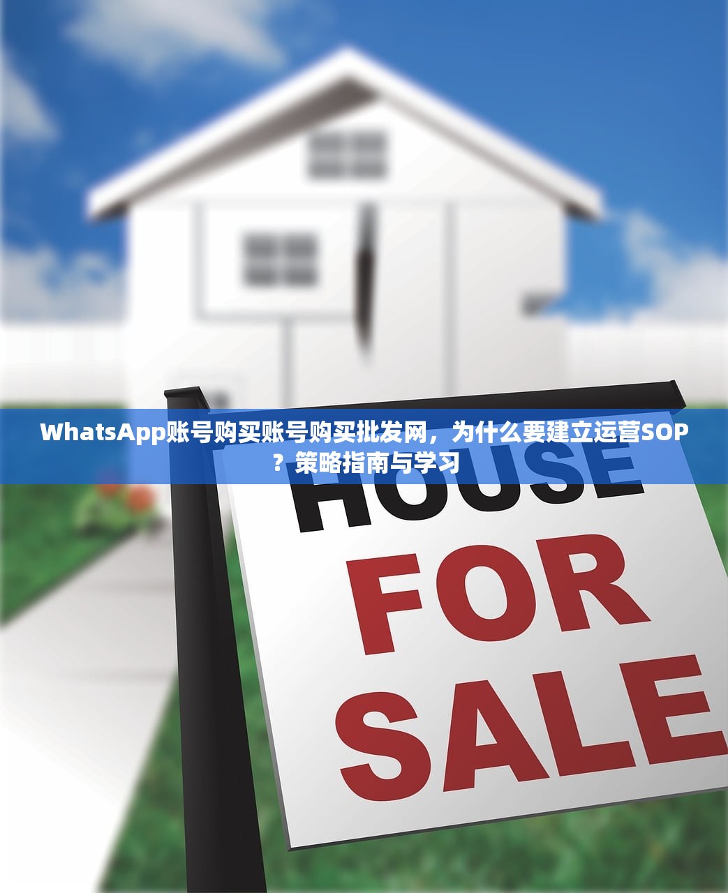 WhatsApp账号购买账号购买批发网,为什么要建立运营SOP?策略指南与学习